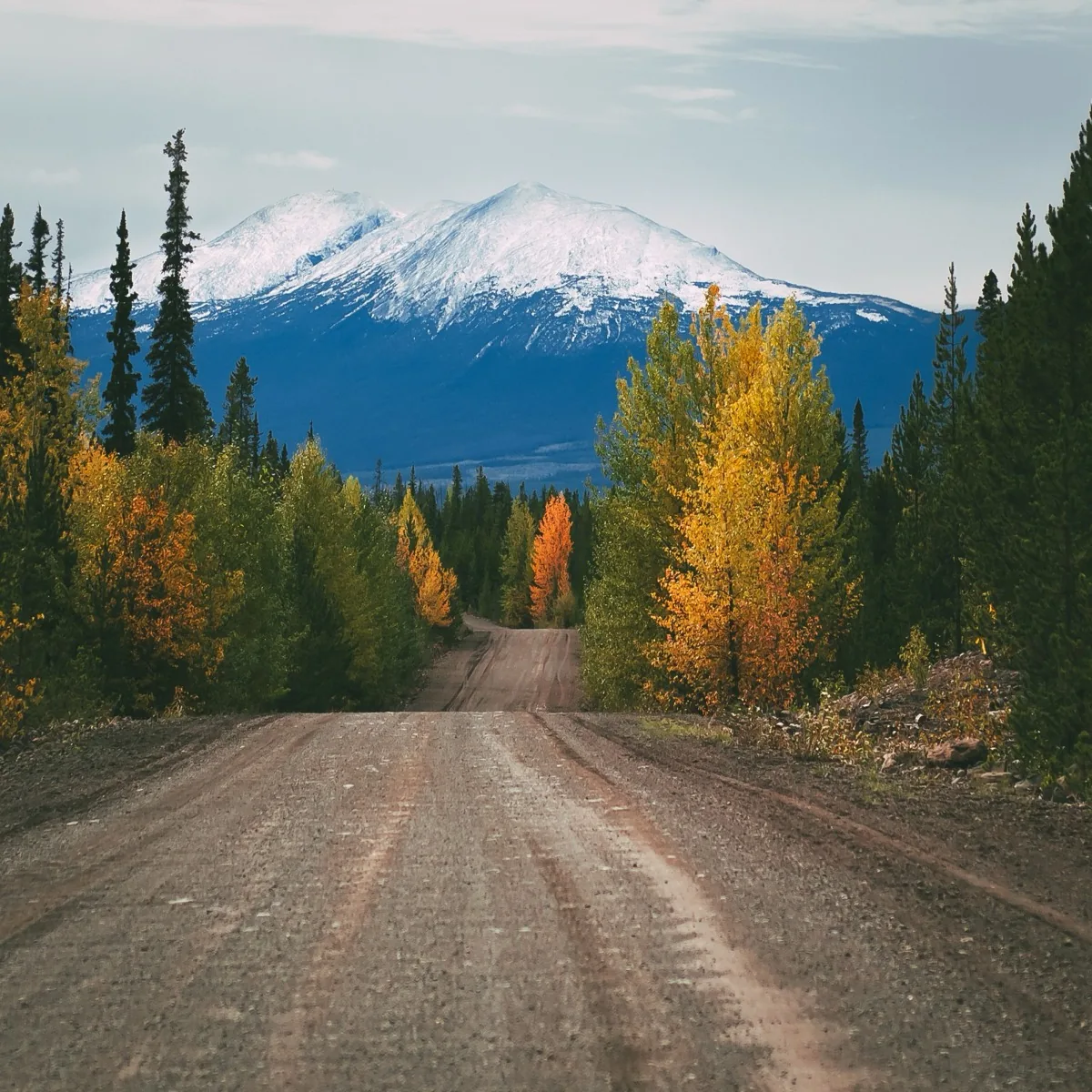 An open road through autumn forest toward a snow-capped mountain