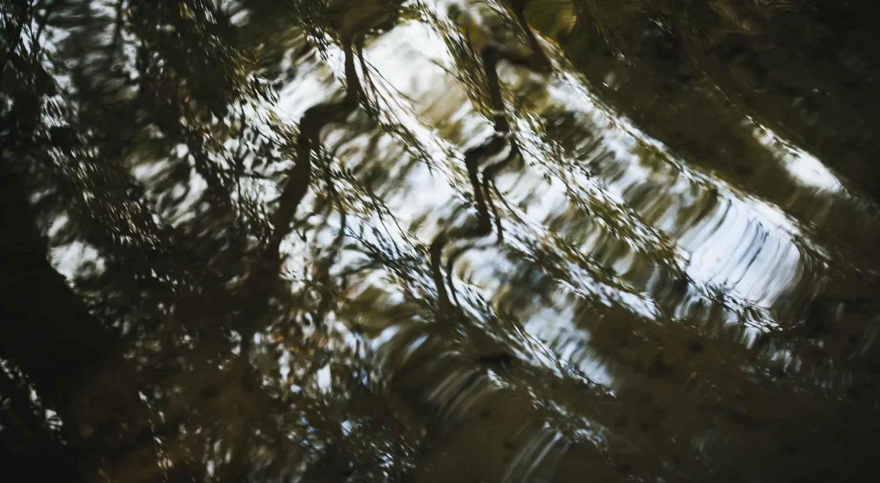 The RIPPLES full bundle