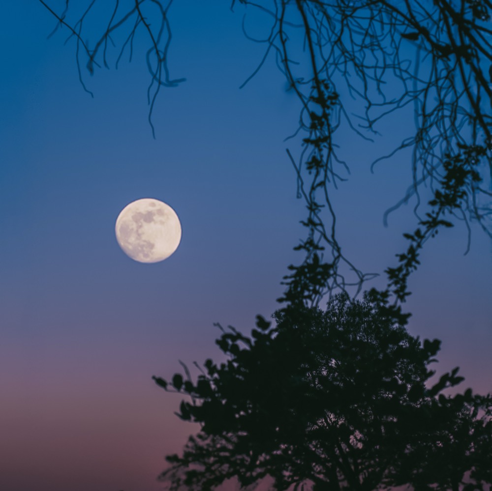 Lunar