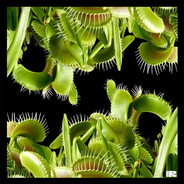 Plantae Carnivora